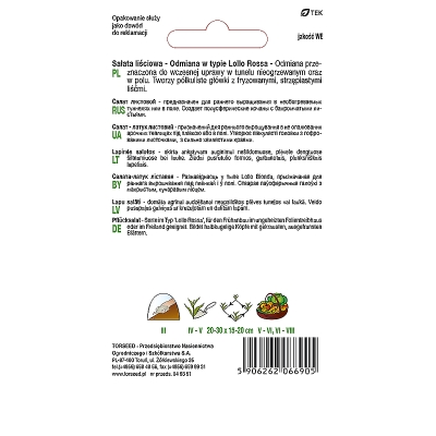 Sałata Lollo Rosa liściowa czerwona nasiona